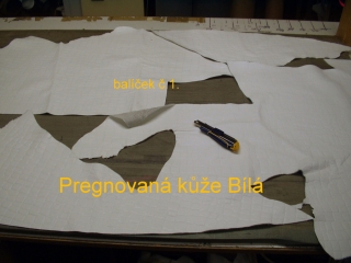 Kůže s imitací kroka